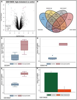 Fabp5 is a common gene between a high-cholesterol diet and acute pancreatitis